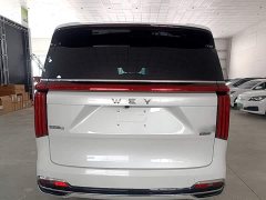 Great Wall WEY Shanshan New Energy Four-Wheel Drive Flagship Edition - ფოტო 5