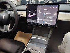 Tesla Model 3 Standard Range RWD Upgrade - ფოტო 10