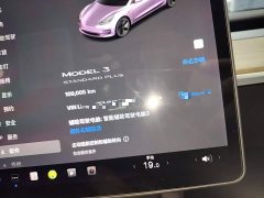 Tesla Model 3 Standard Range RWD Upgrade - ფოტო 12