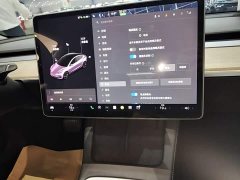 Tesla Model 3 Standard Range RWD Upgrade - ფოტო 13