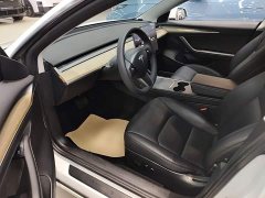 Tesla Model 3 Standard Range RWD Upgrade - ფოტო 16