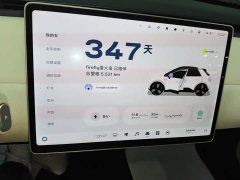 Nio Firefly Luminous Edition - ფოტო 11