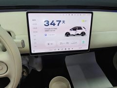 Nio Firefly Luminous Edition - ფოტო 12