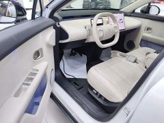 Nio Firefly Luminous Edition - ფოტო 15