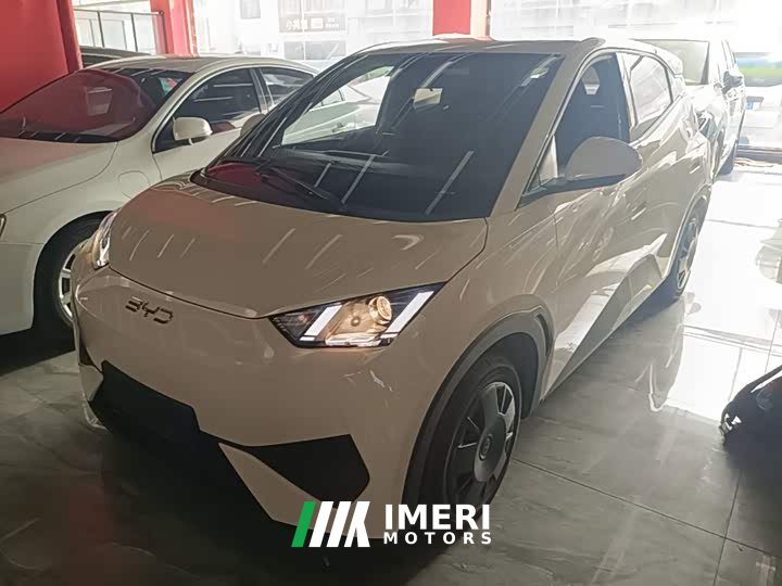 BYD Seagull Smart Drive 305km Vitality Edition