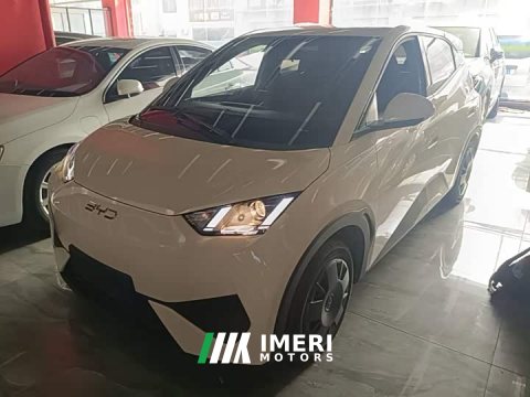 2025 BYD Seagull Smart Drive 305km Vitality Edition - ავტომობილი ჩინეთიდან