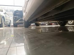 BYD Seagull Smart Drive 305km Vitality Edition - ფოტო 20
