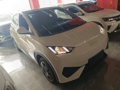 BYD Seagull Smart Drive 305km Vitality Edition - ფოტო 3