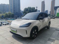 Wuling Binguo PLUS 2024 330km 5-Seater - ფოტო 1
