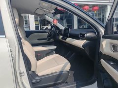 Wuling Binguo PLUS 2024 330km 5-Seater - ფოტო 7