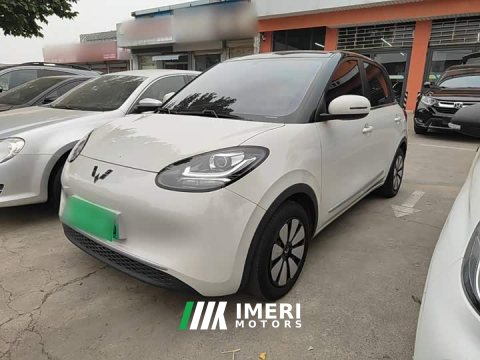 2023 Wuling Binguo 203km Light Enjoy Edition - ავტომობილი ჩინეთიდან