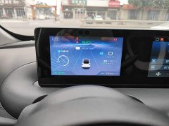 Wuling Binguo 203km Light Enjoy Edition - ფოტო 11