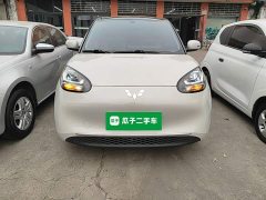 Wuling Binguo 203km Light Enjoy Edition - ფოტო 2