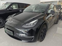Tesla Model Y Standard Range RWD - ფოტო 1