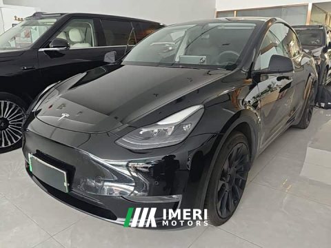 2021 Tesla Model Y Standard Range RWD - ავტომობილი ჩინეთიდან