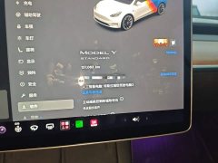 Tesla Model Y Standard Range RWD - ფოტო 11