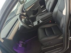 Tesla Model Y Standard Range RWD - ფოტო 14