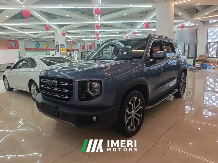 Great Wall Dachshund 1.5T DCT Two-Wheel Drive Malinois-Wangcai Edition