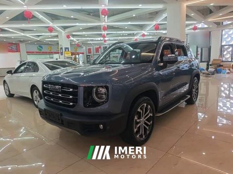 2021 Great Wall Dachshund 1.5T DCT Two-Wheel Drive Malinois-Wangcai Edition - ავტომობილი ჩინეთიდან