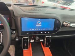 Great Wall Dachshund 1.5T DCT Two-Wheel Drive Malinois-Wangcai Edition - ფოტო 12
