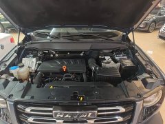 Great Wall Dachshund 1.5T DCT Two-Wheel Drive Malinois-Wangcai Edition - ფოტო 19
