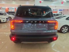 Great Wall Dachshund 1.5T DCT Two-Wheel Drive Malinois-Wangcai Edition - ფოტო 5
