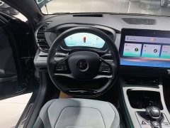 BYD Han 2022 EV 610KM AWD Qianshan Green Limited Edition - ფოტო 10