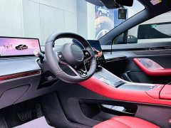 Luxeed Zhiji S7 Max - ფოტო 15