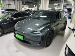 Tesla Model Y Rear-Wheel Drive - ფოტო 1