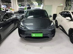 Tesla Model Y Rear-Wheel Drive - ფოტო 2