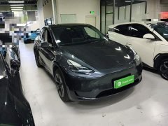 Tesla Model Y Rear-Wheel Drive - ფოტო 3