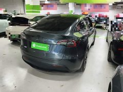 Tesla Model Y Rear-Wheel Drive - ფოტო 6
