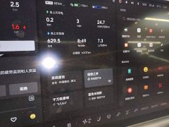 Li Auto L7 Pro - ფოტო 8