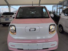 FAW Besturn Xiaoma 2025 222km Lightning Edition - ფოტო 2