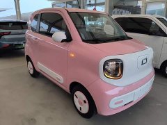 FAW Besturn Xiaoma 2025 222km Lightning Edition - ფოტო 3
