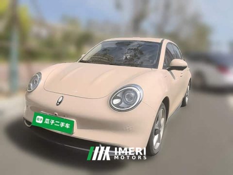 2022 ORA Good Cat 400km Standard Range Deluxe Ternary Lithium - ავტომობილი ჩინეთიდან