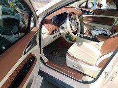 ORA Good Cat 400km Standard Range Deluxe Ternary Lithium - ფოტო 13