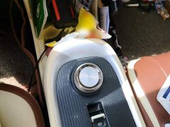 ORA Good Cat 400km Standard Range Deluxe Ternary Lithium - ფოტო 6