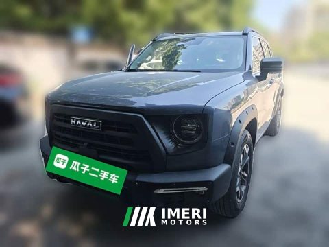 2023 Great Wall Dachshund 2024 2.0T DCT Chinese Rural Dog Edition - ავტომობილი ჩინეთიდან