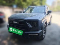 Great Wall Dachshund 2024 2.0T DCT Chinese Rural Dog Edition - ფოტო 2