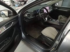 BYD Destroyer 05 Glory Edition DM-i 55KM Luxury - ფოტო 14
