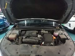 BYD Destroyer 05 Glory Edition DM-i 55KM Luxury - ფოტო 17