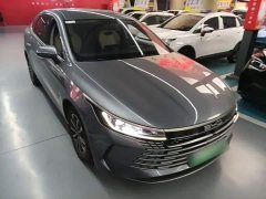 BYD Destroyer 05 Glory Edition DM-i 55KM Luxury - ფოტო 3