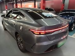 BYD Destroyer 05 Glory Edition DM-i 55KM Luxury - ფოტო 4