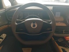 Denza D9 2022 DM-i 970 AWD Flagship - ფოტო 11