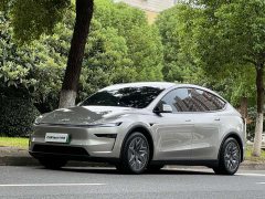 Tesla Model Y L Long Range All-Wheel Drive - ფოტო 1