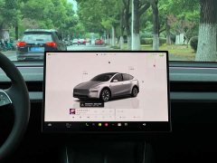 Tesla Model Y L Long Range All-Wheel Drive - ფოტო 11