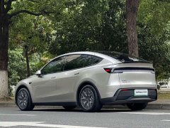 Tesla Model Y L Long Range All-Wheel Drive - ფოტო 20