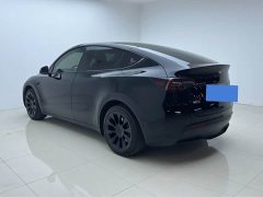 Tesla Model Y Rear-Wheel Drive - ფოტო 16