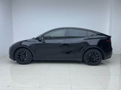 Tesla Model Y Rear-Wheel Drive - ფოტო 17